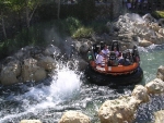 img068